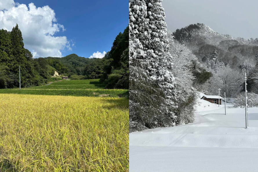 秋と冬の棚田。奥出雲町のいたる所に，こうした風景が広がる。（写真は宇田川和義氏提供）